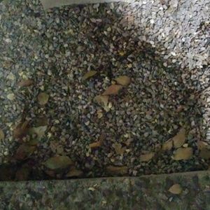 Meet your Posher, Bernardo